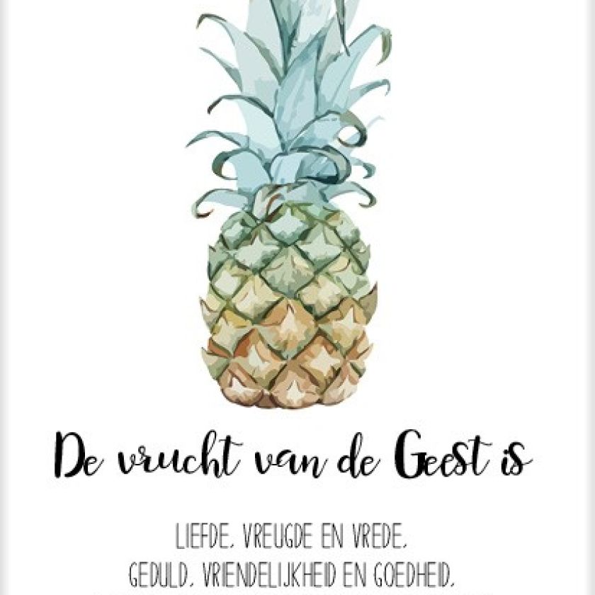 Sponsorpakket  'Beautiful day' voor 2 kippen - MA25000S -  Voordeelpakjes bij MajesticAlly