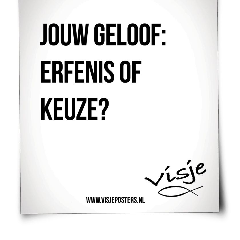 Scheurkalender 365 allerbeste visjes - 9789078893080 -  Kalenders & agenda's bij MajesticAlly