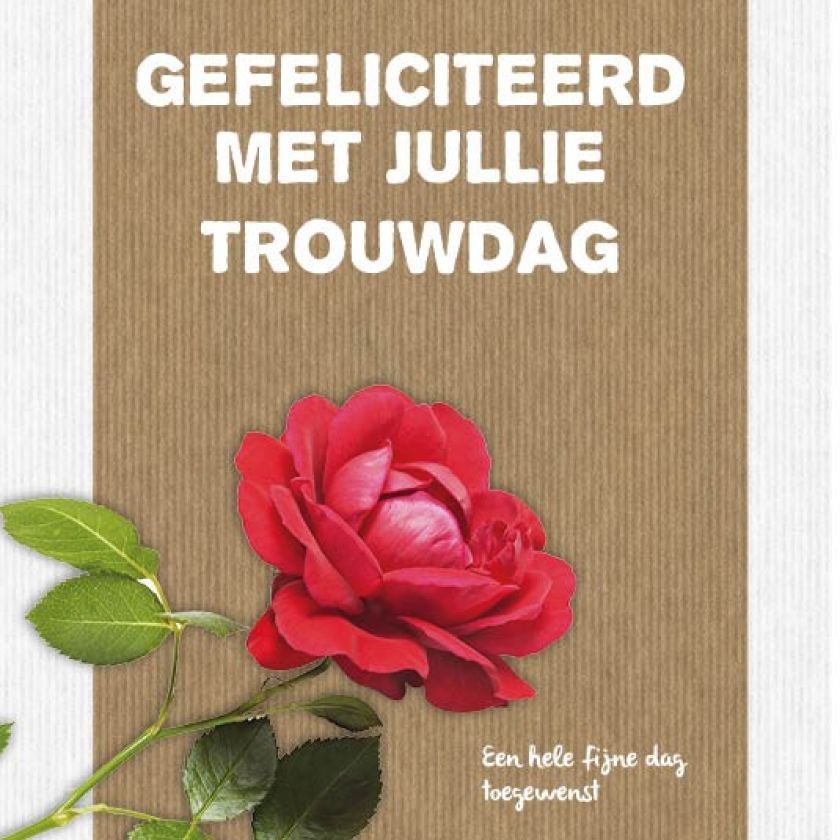 Sponsorpakket 40 kaarten met envelop - MA17000S -  Leef!  bij MajesticAlly