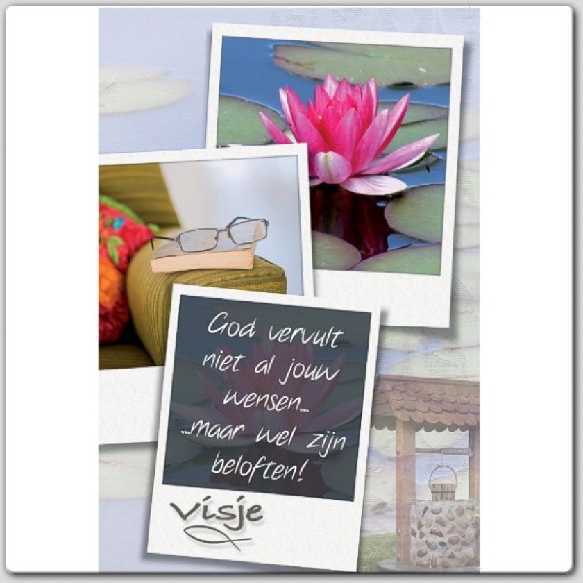 * Voordeelpakket 20 Visje wenskaarten - 46925 -  Pakjes kaarten bij MajesticAlly