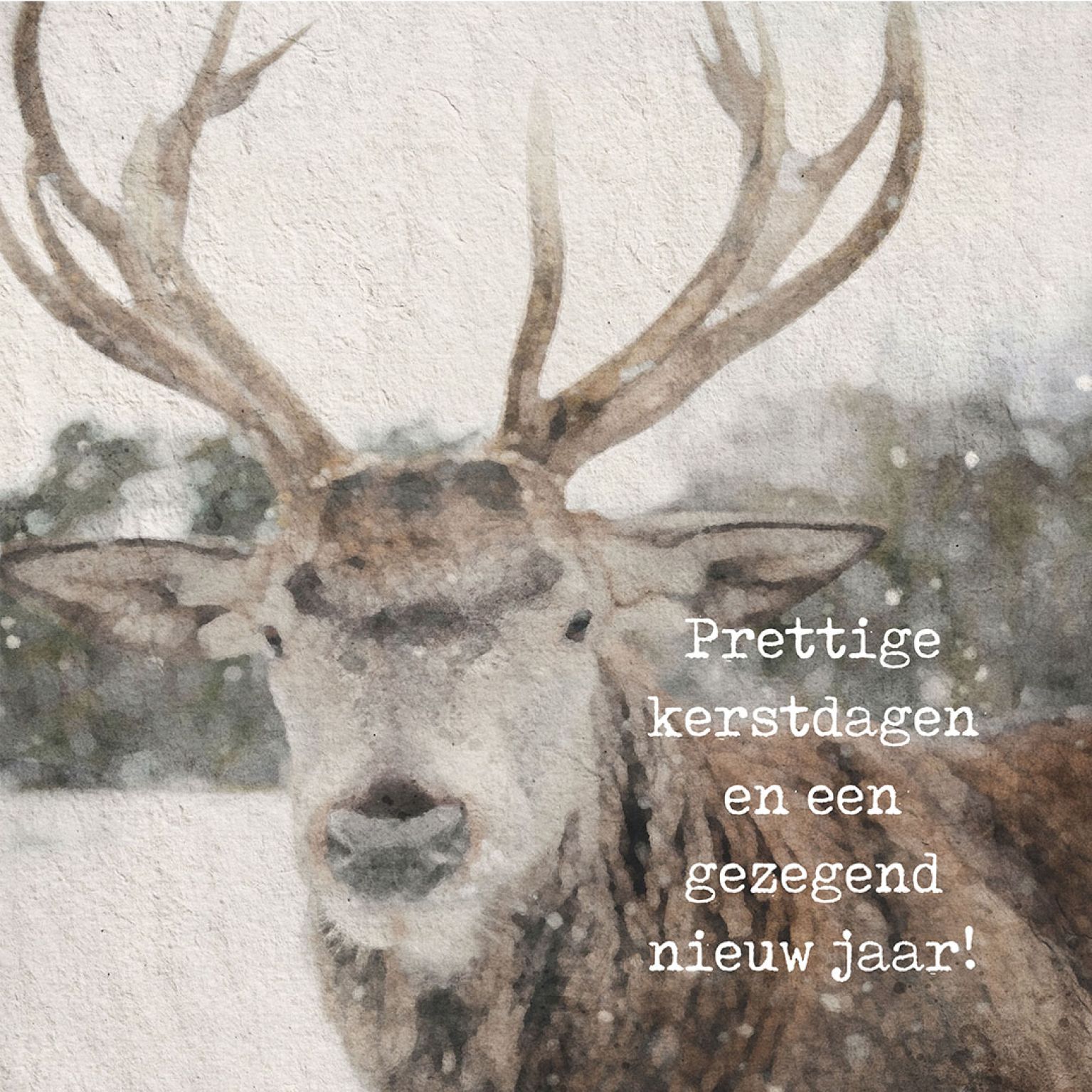 MA41211 - Minikerstkaart 'Eland'