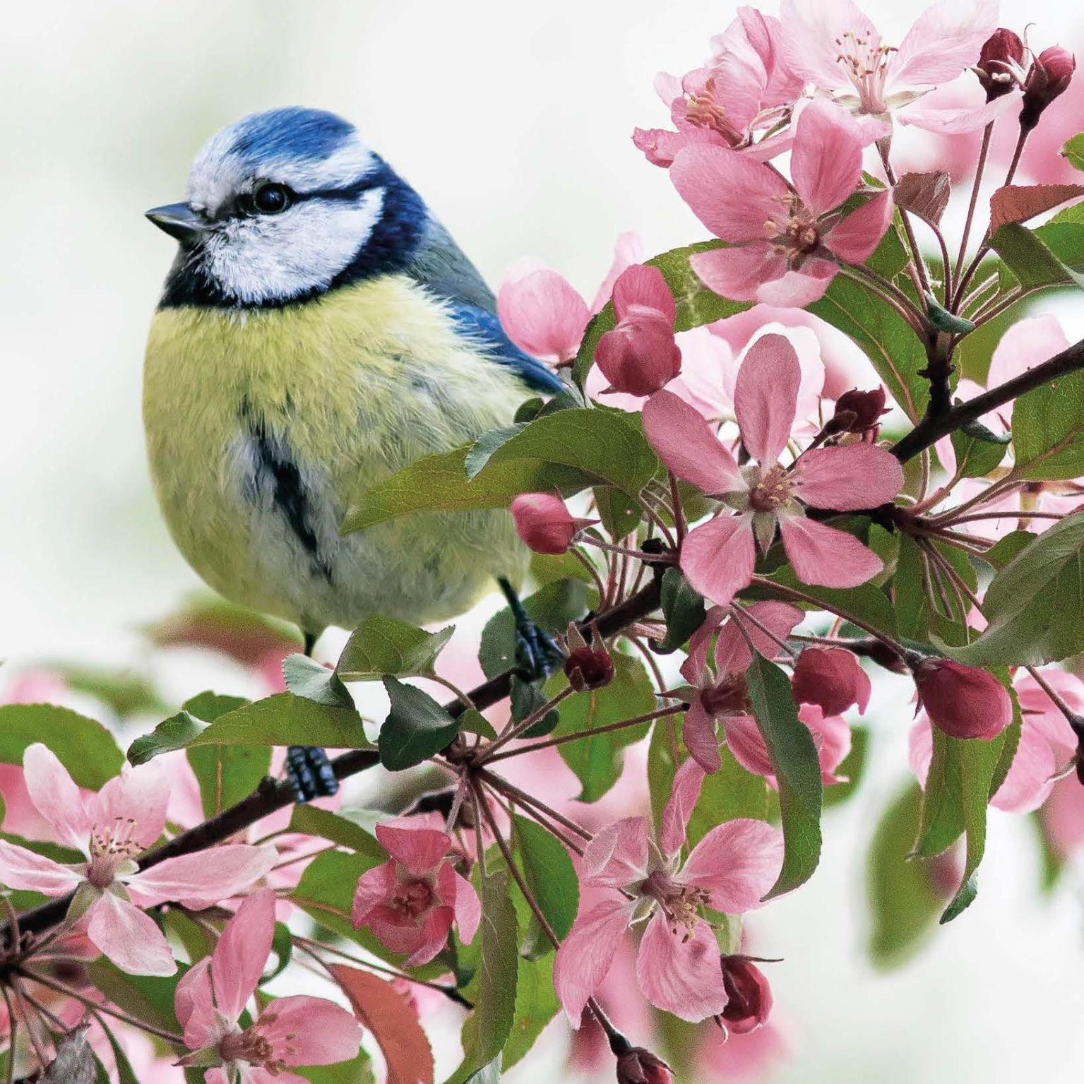 Poster A4  In Uw naam in redding en hoop - Opwekking 658 - 552686P -  Posters bij MajesticAlly