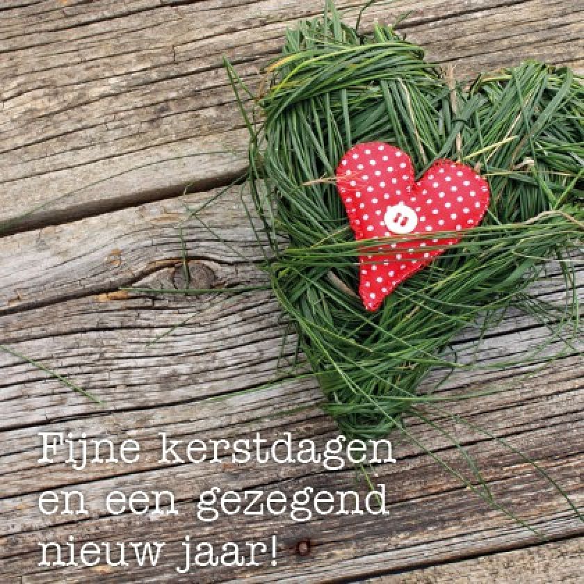Voordeelpakje kerstkaarten 'Lifestyle 2' - 6 stuks - MA26054 -  Voordeelpakjes kerst bij MajesticAlly