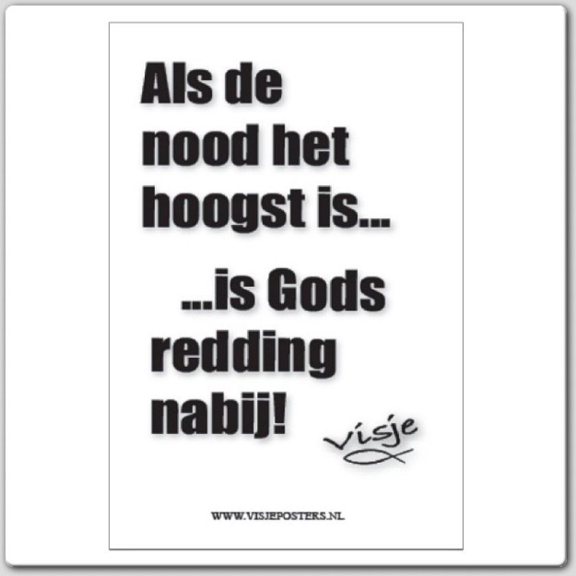 Kaart visje als de nood het hoogst - 44094 -  Visje kaarten bij MajesticAlly