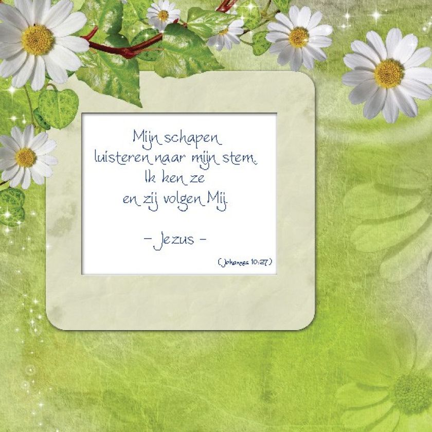 Choice kaartje mijn schapen luisteren - 42002 -  Minikaartjes - vierkant bij MajesticAlly