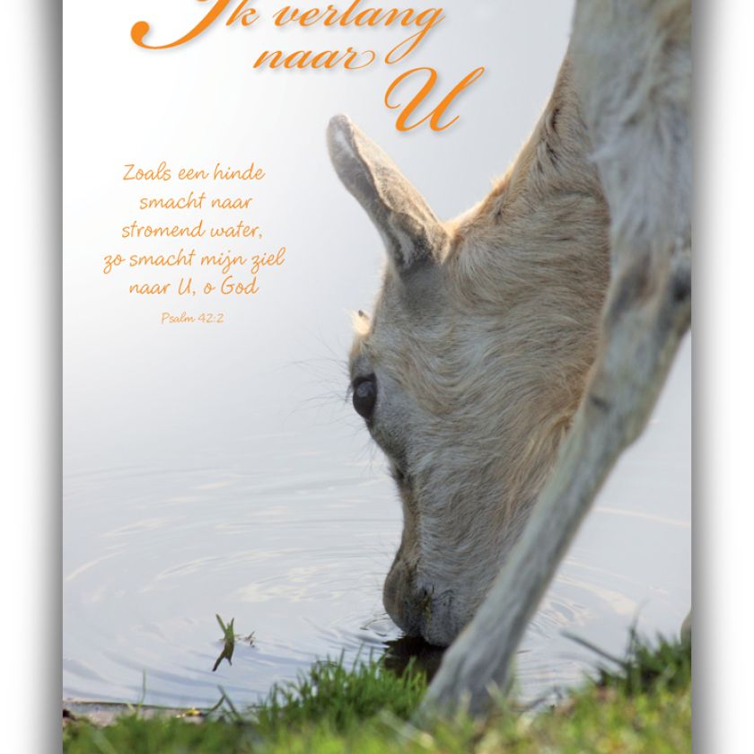 Poster A4 'Ik verlang naar U' - 46805 -  Wanddeco/posters bij MajesticAlly