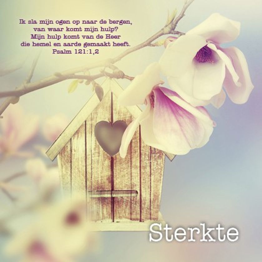 * Voordeelpakket Lifestyle  - 36 kaarten - MA12200 -  Pakjes kaarten bij MajesticAlly