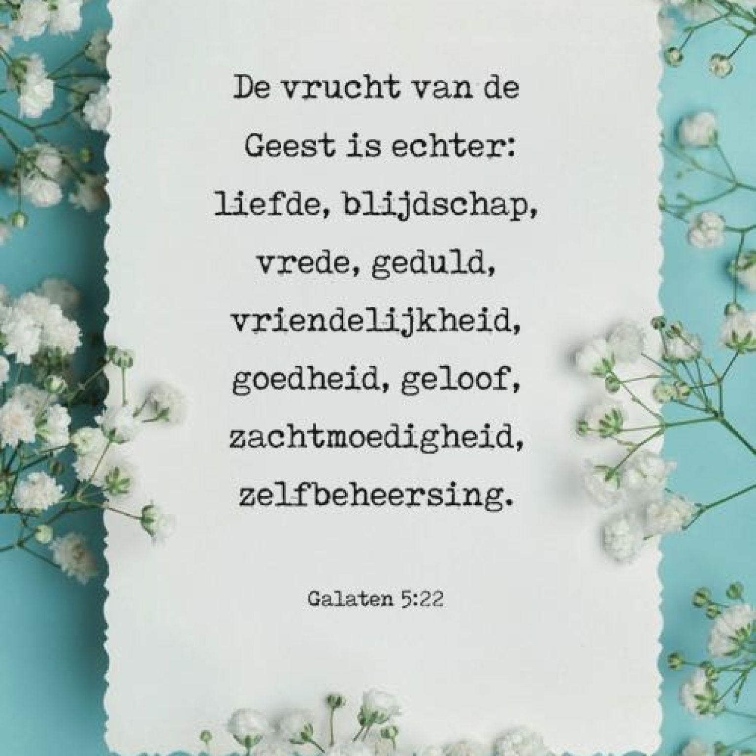 Voordeelkaart 'De vrucht van de Geest' - MA38088 -  Voordeelkaarten christelijk bij MajesticAlly