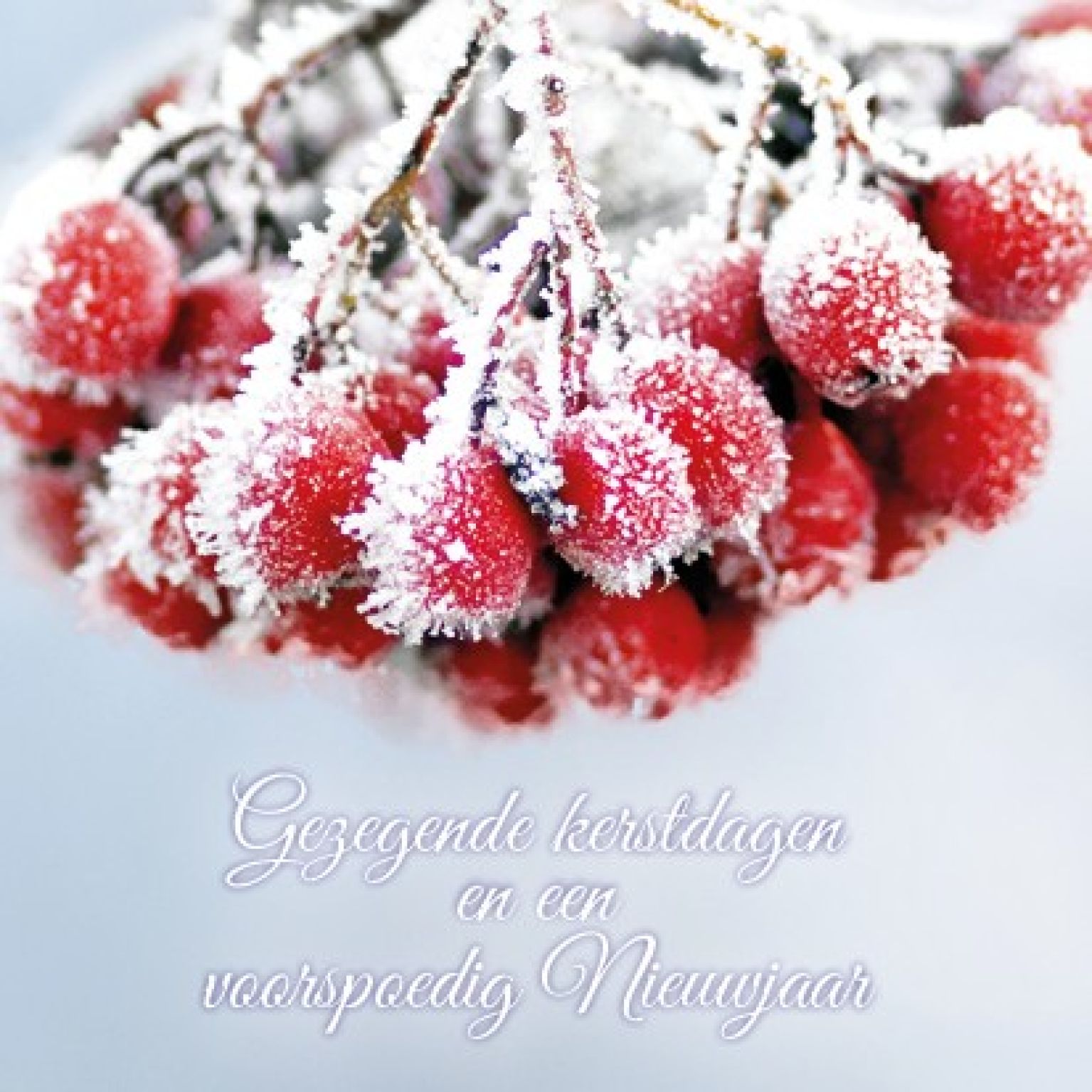 Voordeelpakje kerstkaarten 'Frozen 1' - 6 stuks - MA26057 -  Voordeelpakjes kerst bij MajesticAlly