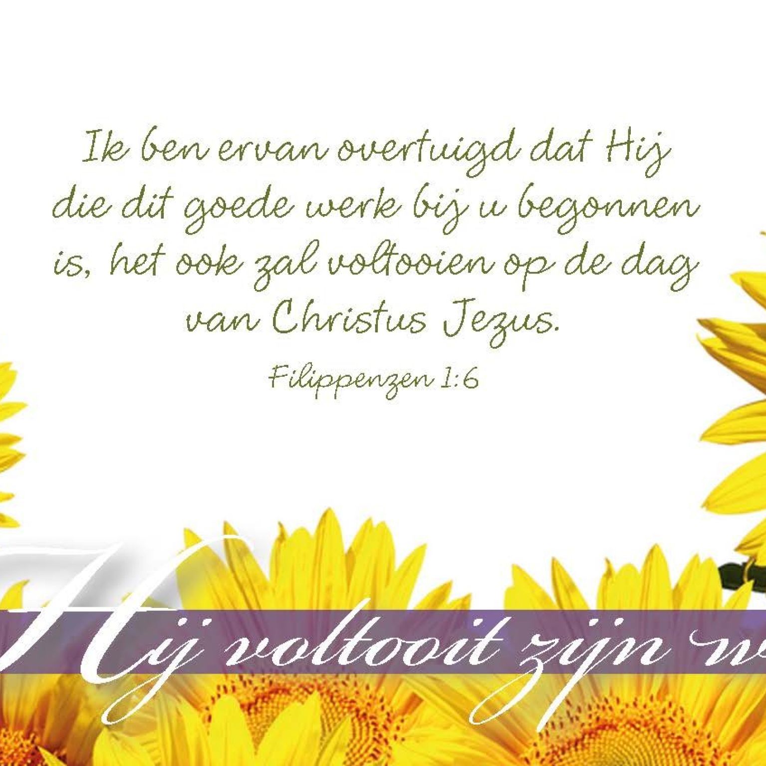 Minikaart Hij voltooit zijn werk - 46212 -  Minikaartjes bij MajesticAlly