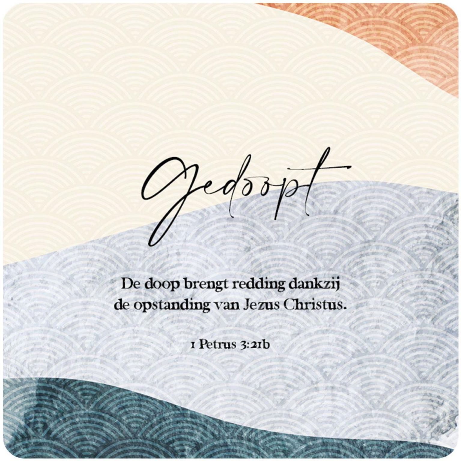 200006186 1 0f2d33bd