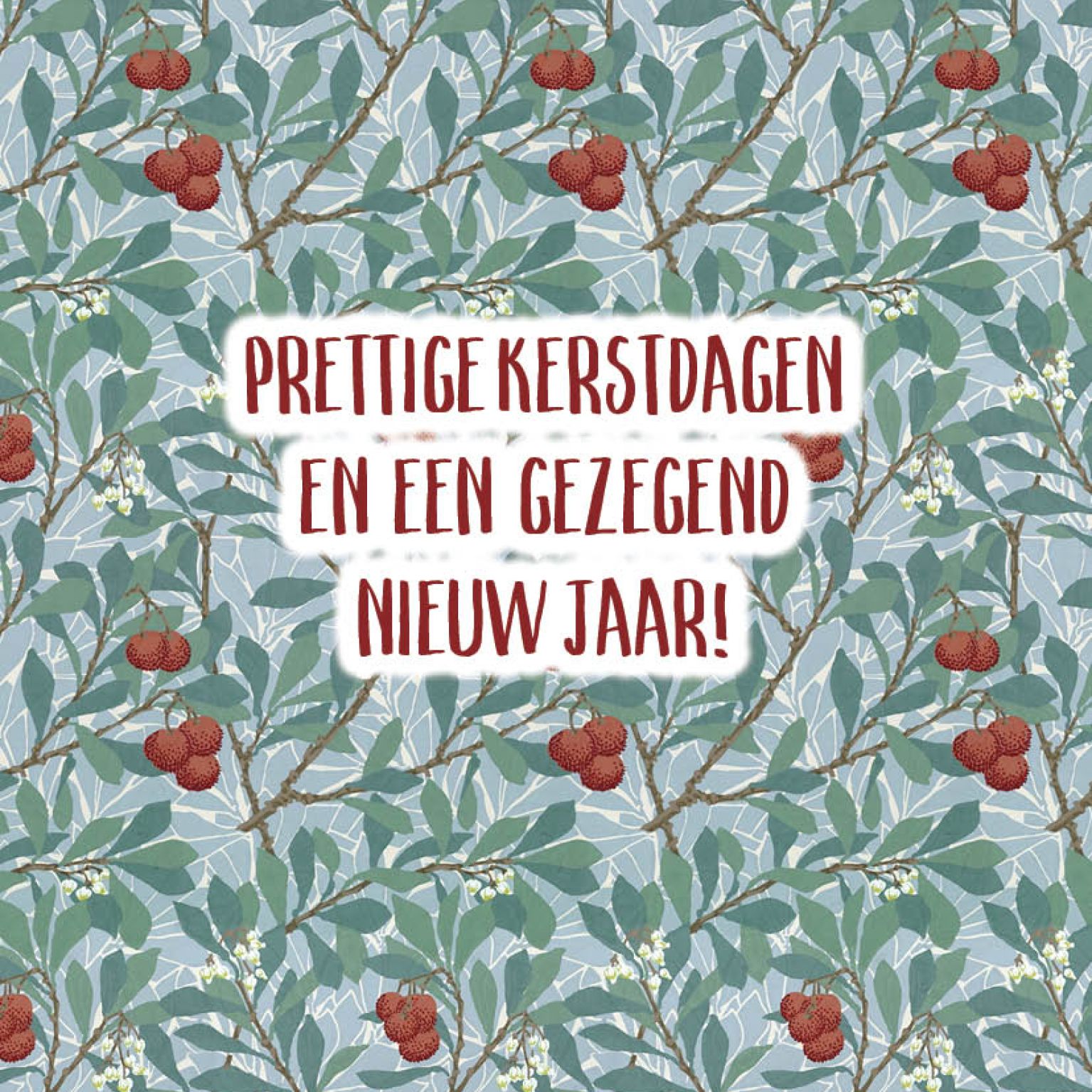 Prettige kerstdagen en een gezegend nieuw jaar