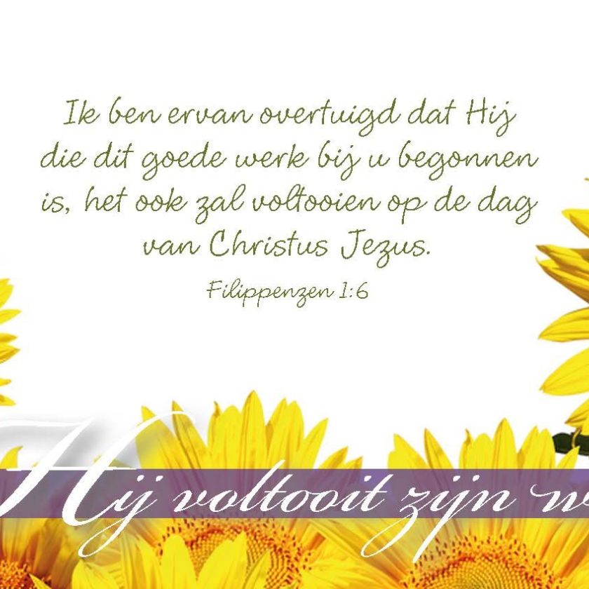 Minikaart Hij voltooit zijn werk - 46212 -  Minikaartjes bij MajesticAlly