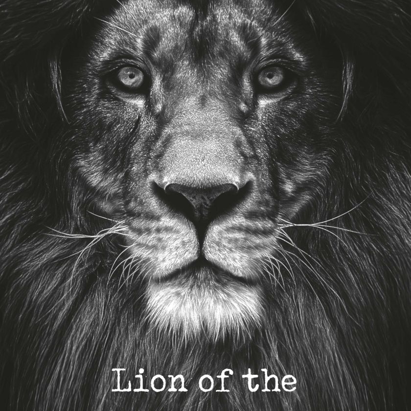 Metal Deco A3 'Lion of the tribe of Judah' - MA11623 -  Metal Deco bij MajesticAlly