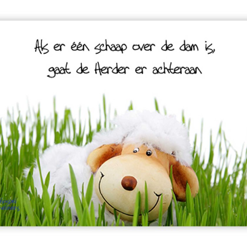 'Als er een schaap over de dam is' - MA10033 -  Quotes