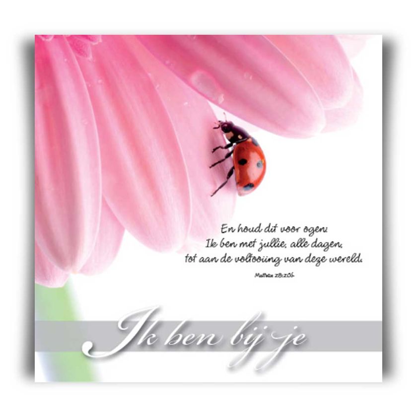 Choice kaartje Ik ben bij je - 42026 -  Minikaartjes - vierkant bij MajesticAlly