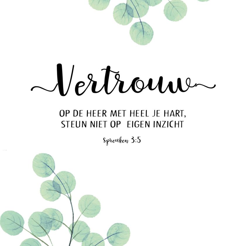 Voordeelpakket 24 kaarten 'Beautiful Day' - MA25300 -  Beautiful Day bij MajesticAlly