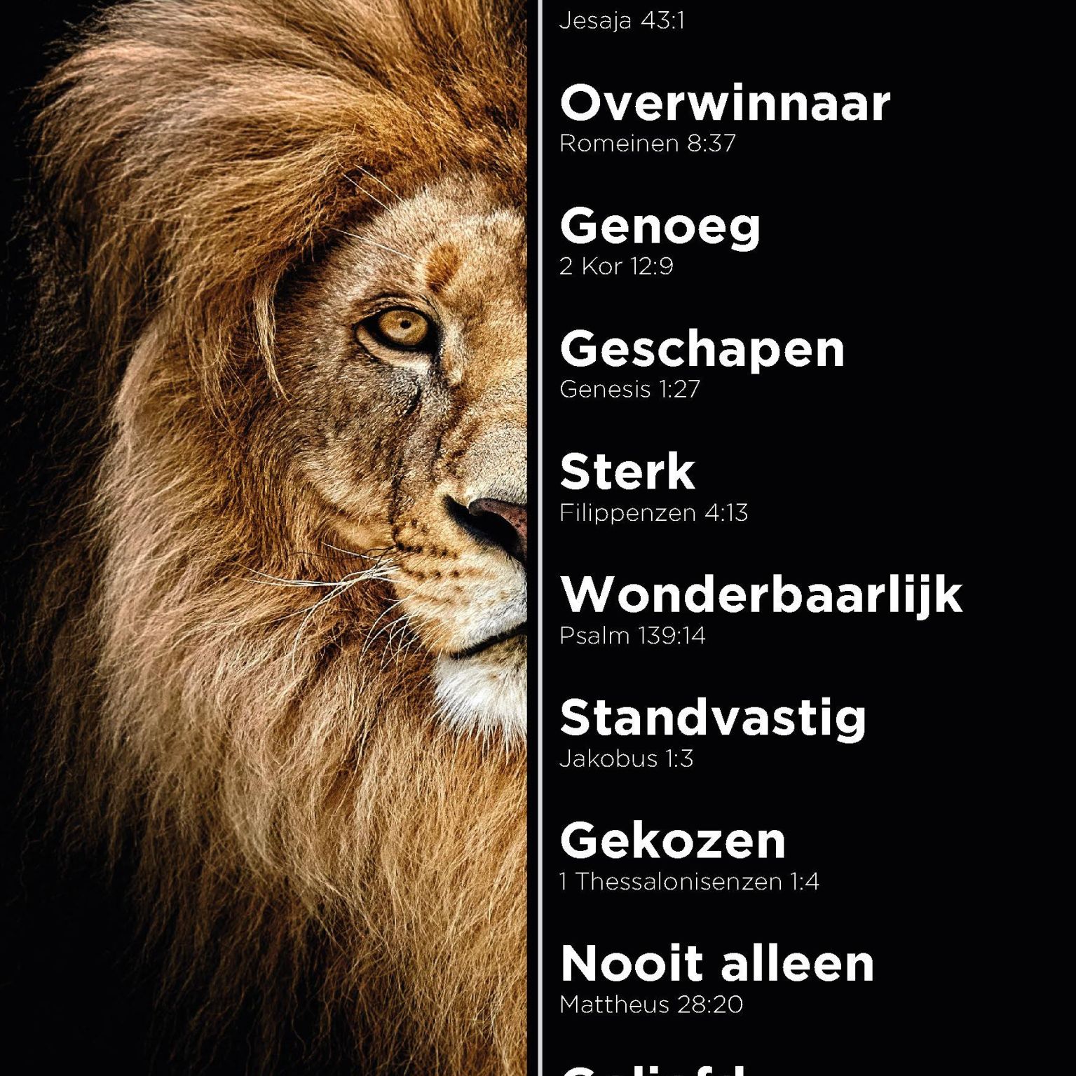 200006146 1 1cf1b335