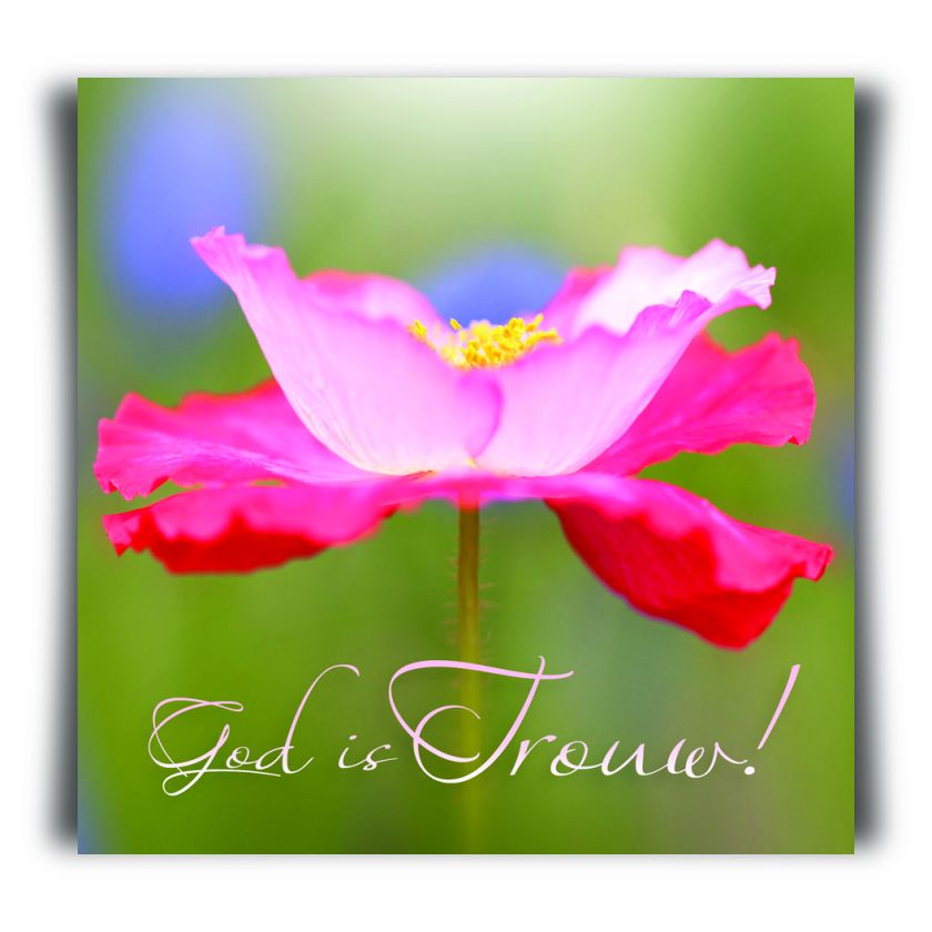 Choice kaartje God is trouw - MA11206 -  Minikaartjes - vierkant bij MajesticAlly