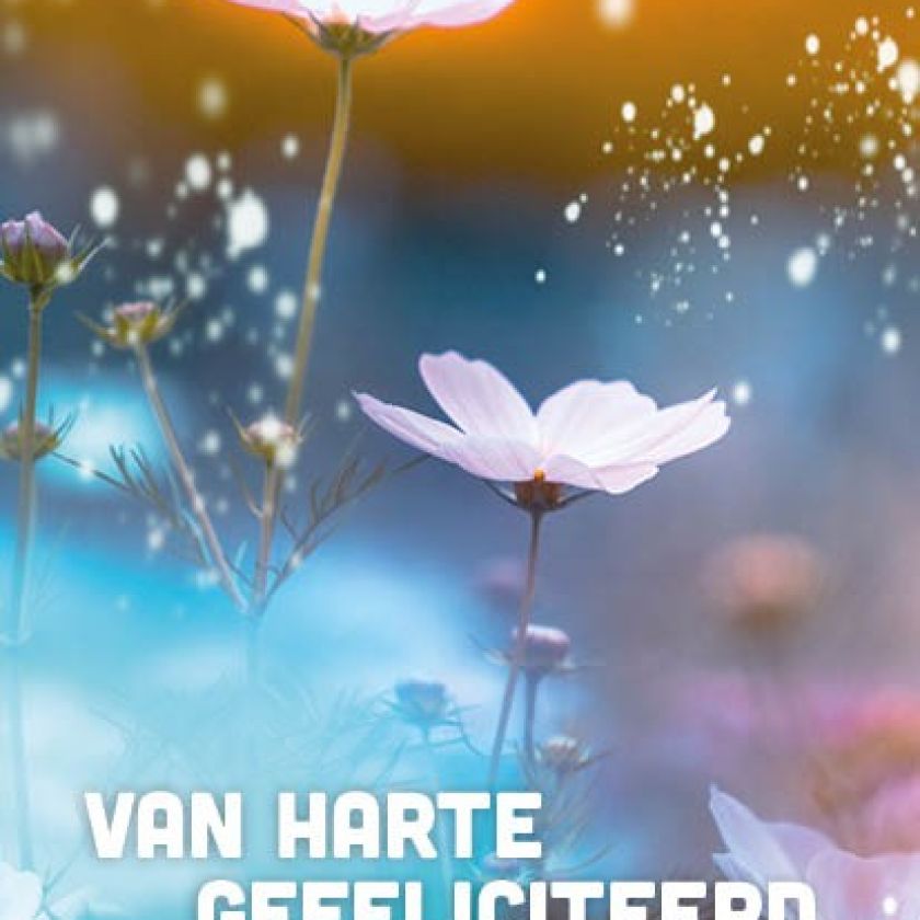 Voordeelkaart 'Van harte gefeliciteerd - bloemen' - MA38094 -  Voordeelkaarten christelijk bij MajesticAlly