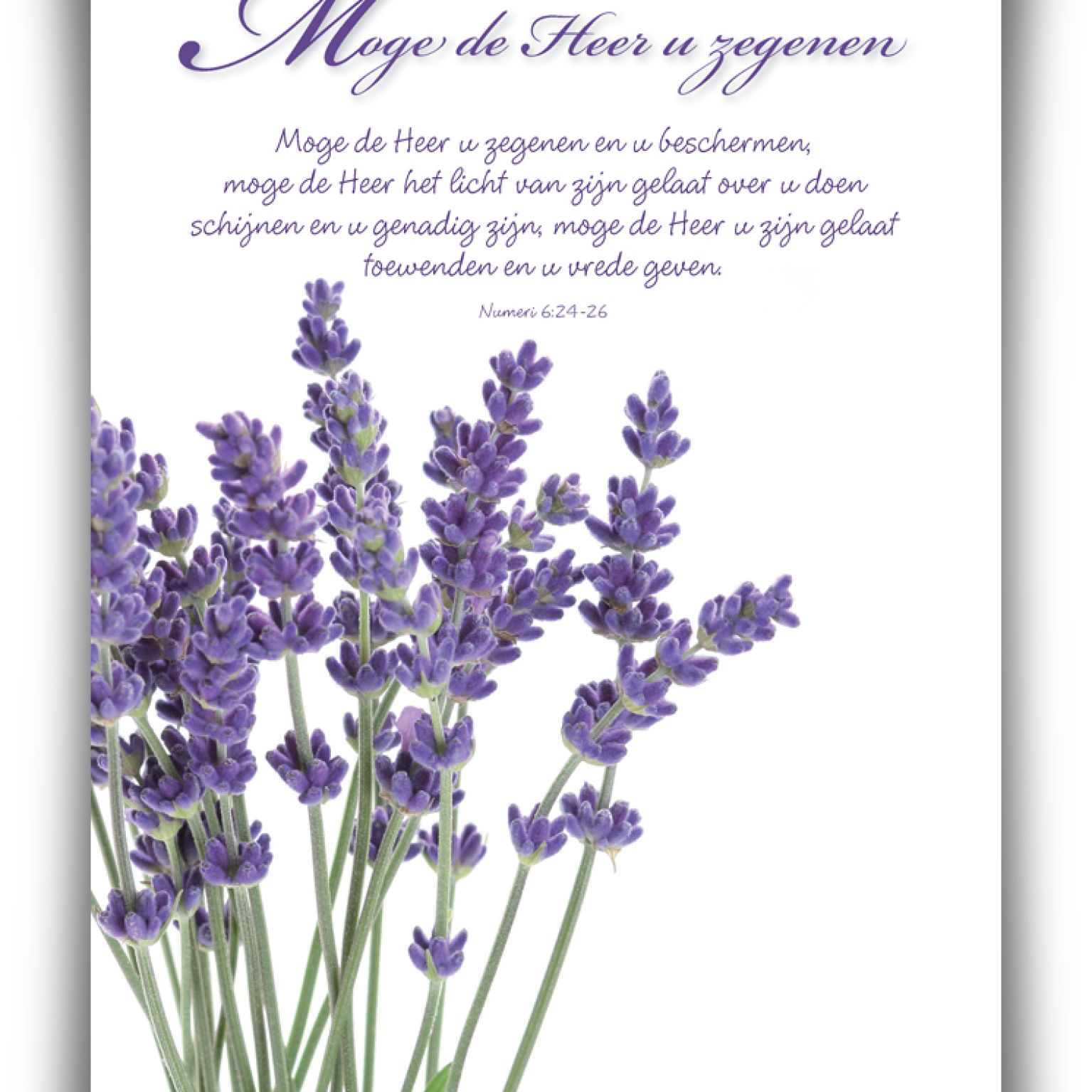 Poster A4 'Moge de Here je zegenen' - 46807 -  Wanddeco/posters bij MajesticAlly