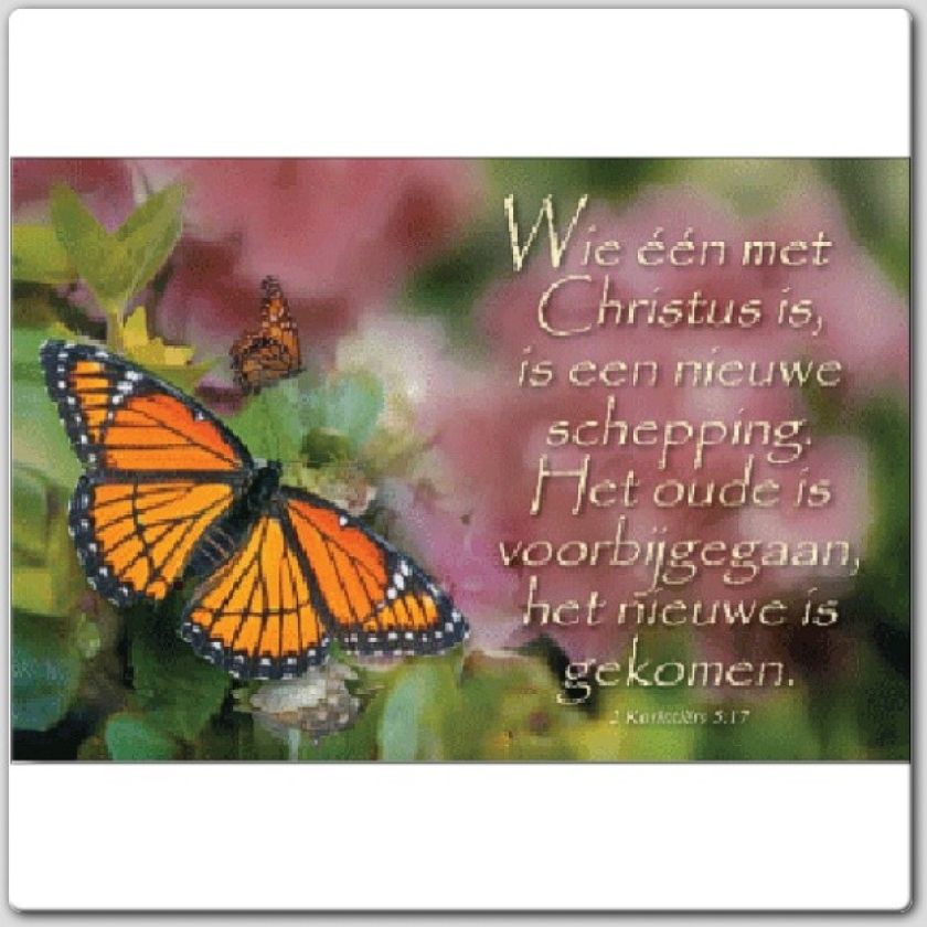 Minikaart 'Wie een met Christus is' - 44504 -  Minikaartjes