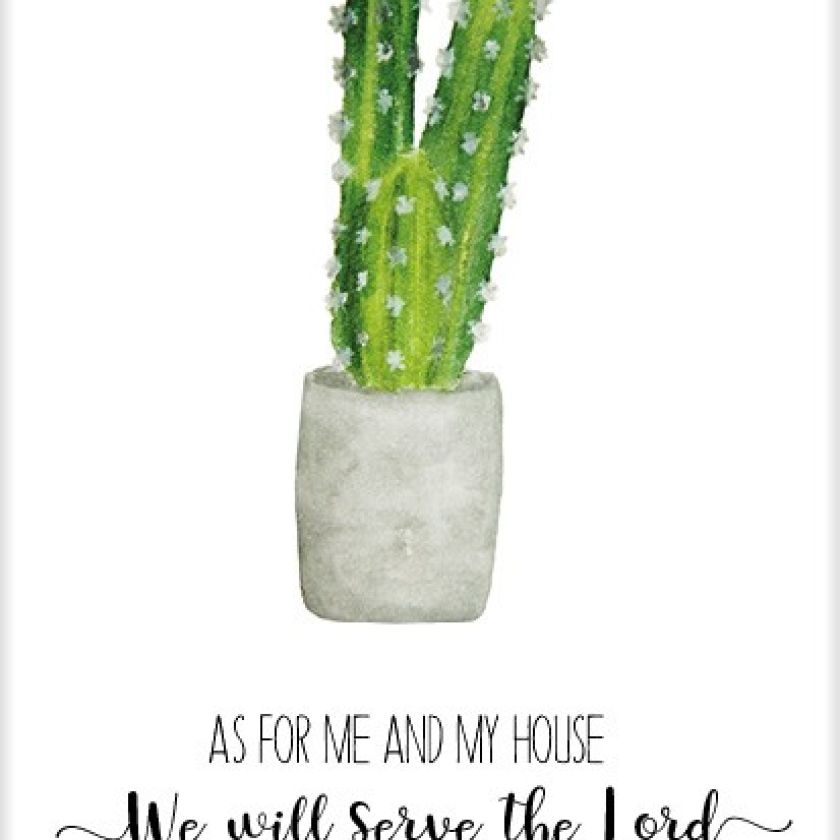 * Voordeelpakket  kaarten Beautiful Day, 42 kaarten - MA25099 -  Voordeelpakjes bij MajesticAlly