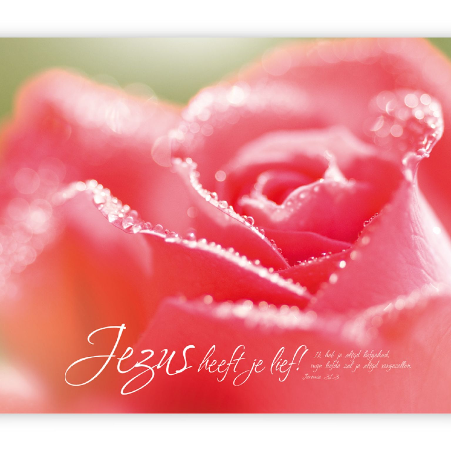 Poster A3 'Jezus heeft je lief' - MA11364 -  Posters A3 bij MajesticAlly