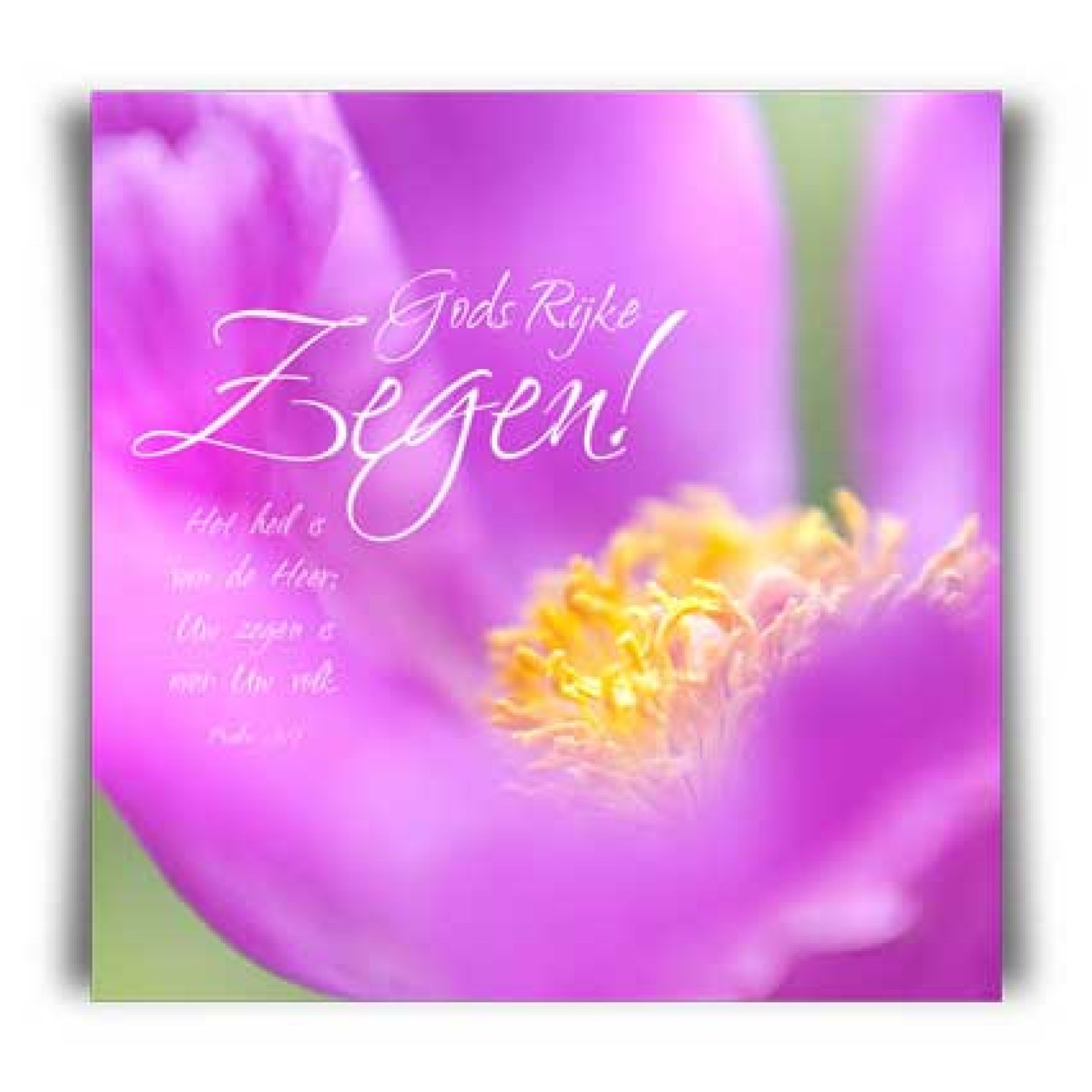 Kaart 'Gods rijke zegen!' - MA11020 -  David Sörensen bij MajesticAlly