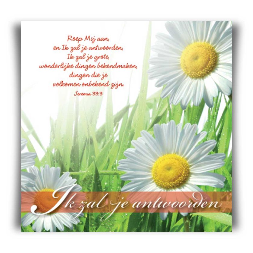 Choice kaartje wie hoopt op de Heer - 42043 -  Minikaartjes - vierkant bij MajesticAlly