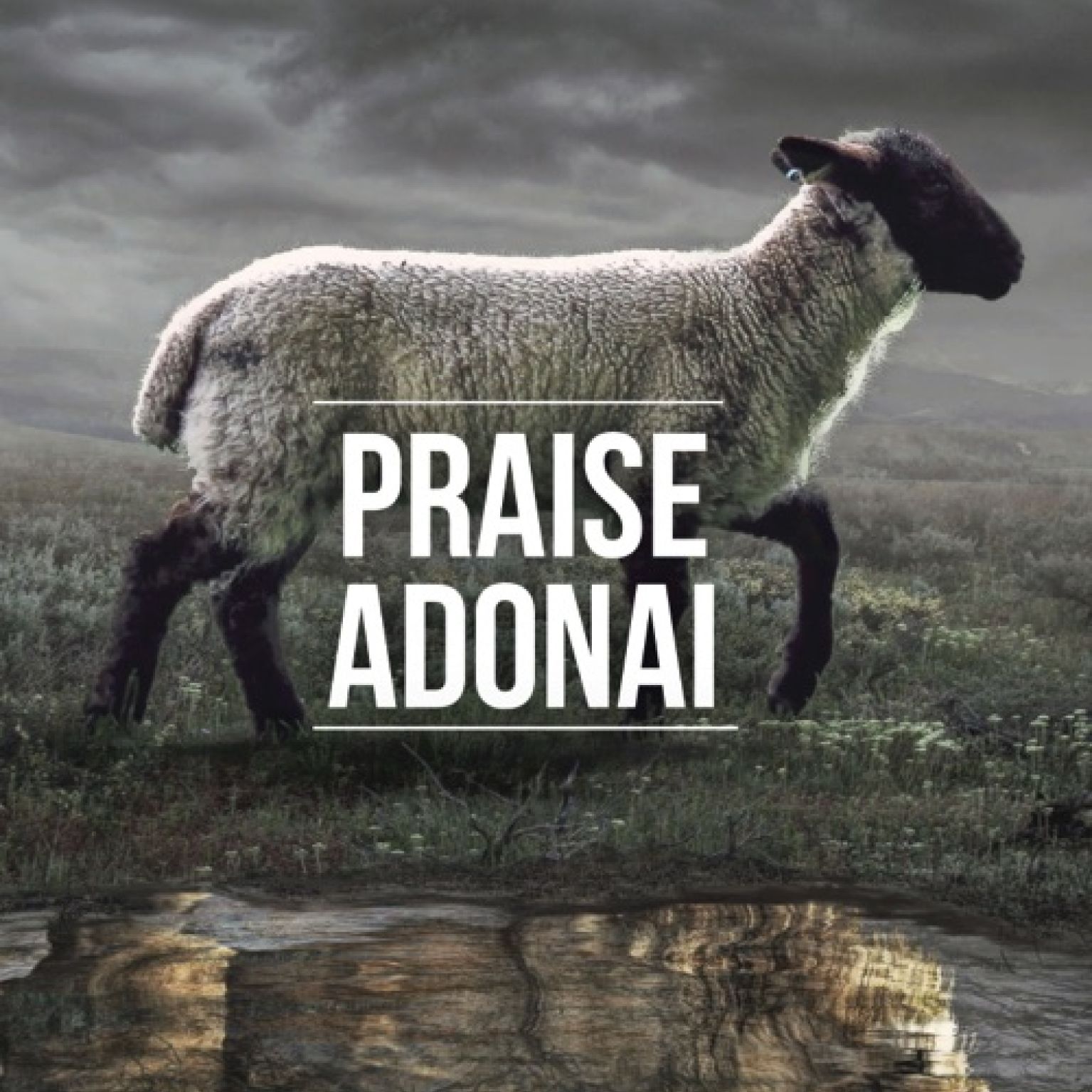 A4 poster met de tekst 'Praise Adonai'