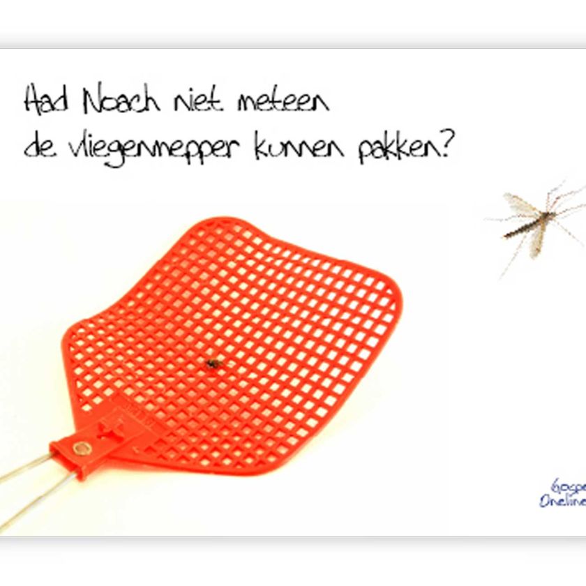Prentbriefkaart 'Had Noach niet gelijk even de vliegenmepper kunnen pakken?'