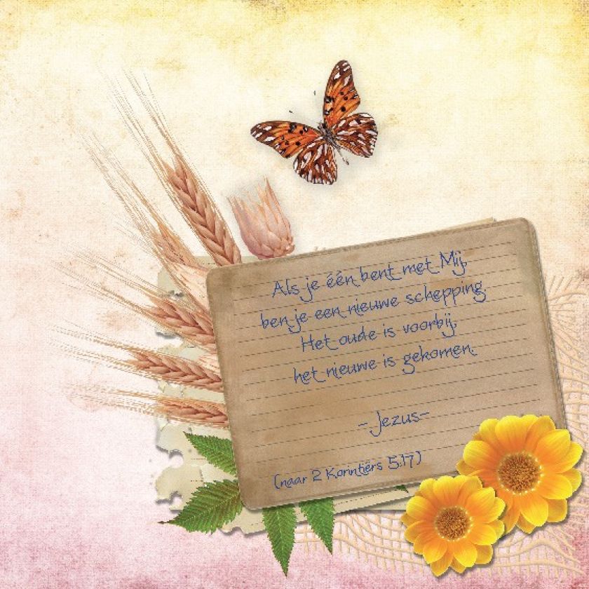 Choice kaartje als je een bent met mij - 42001 -  Minikaartjes - vierkant bij MajesticAlly