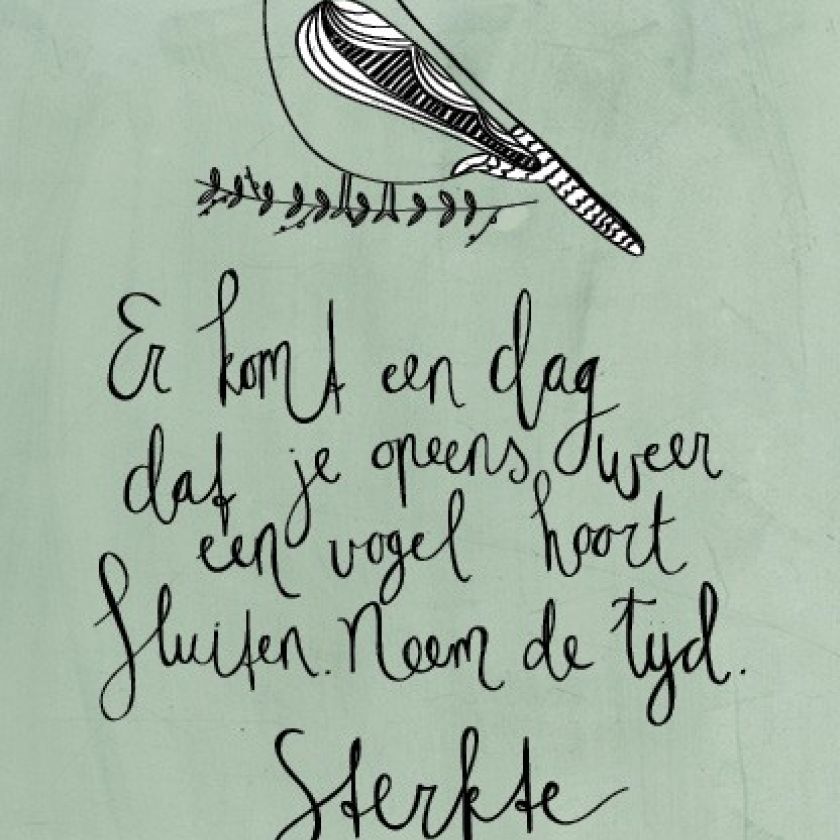 Sterkte - 552793 -  Sterkte & Deelneming bij MajesticAlly