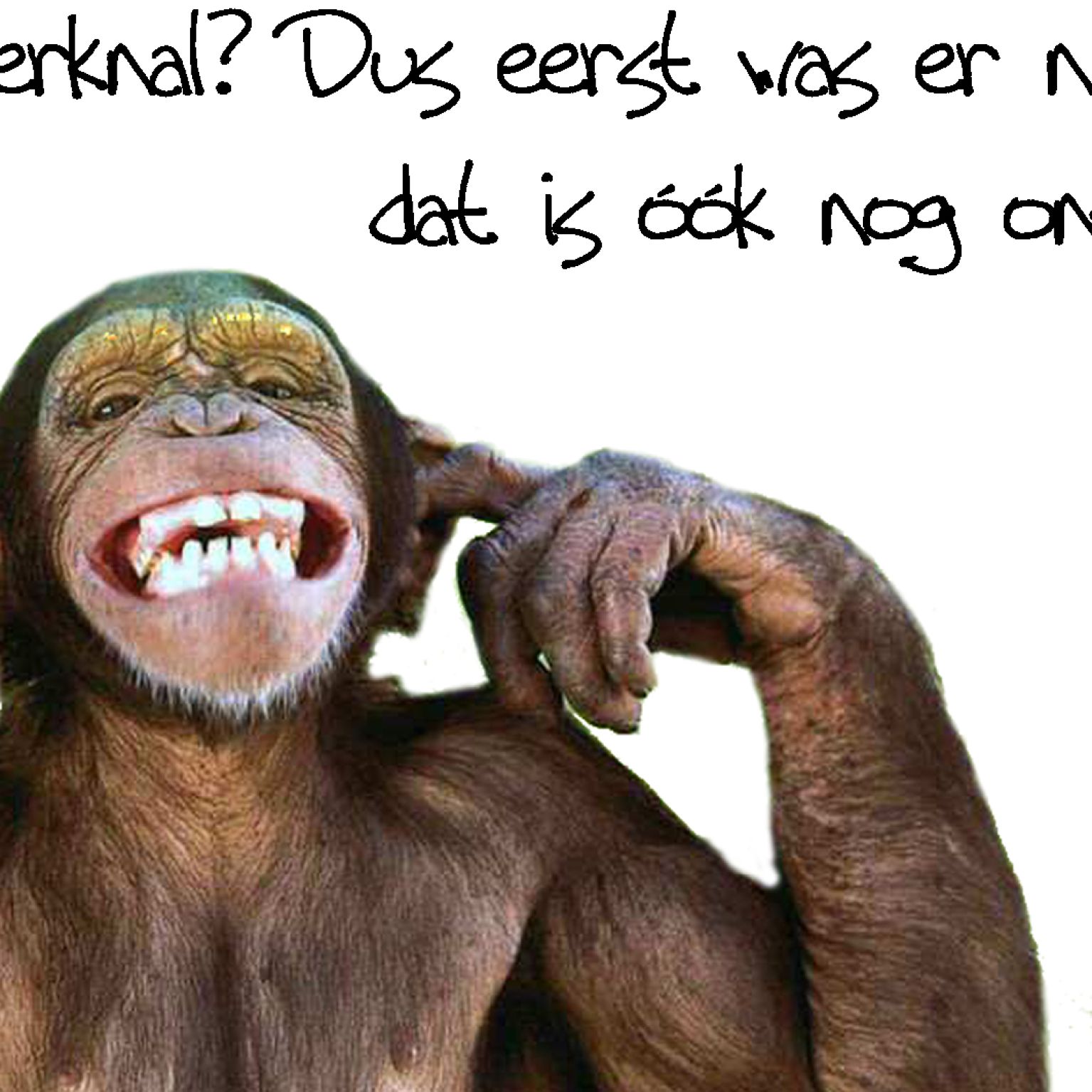 Choice kaartje oerknal? - MA10112 -  Minikaartjes - vierkant bij MajesticAlly