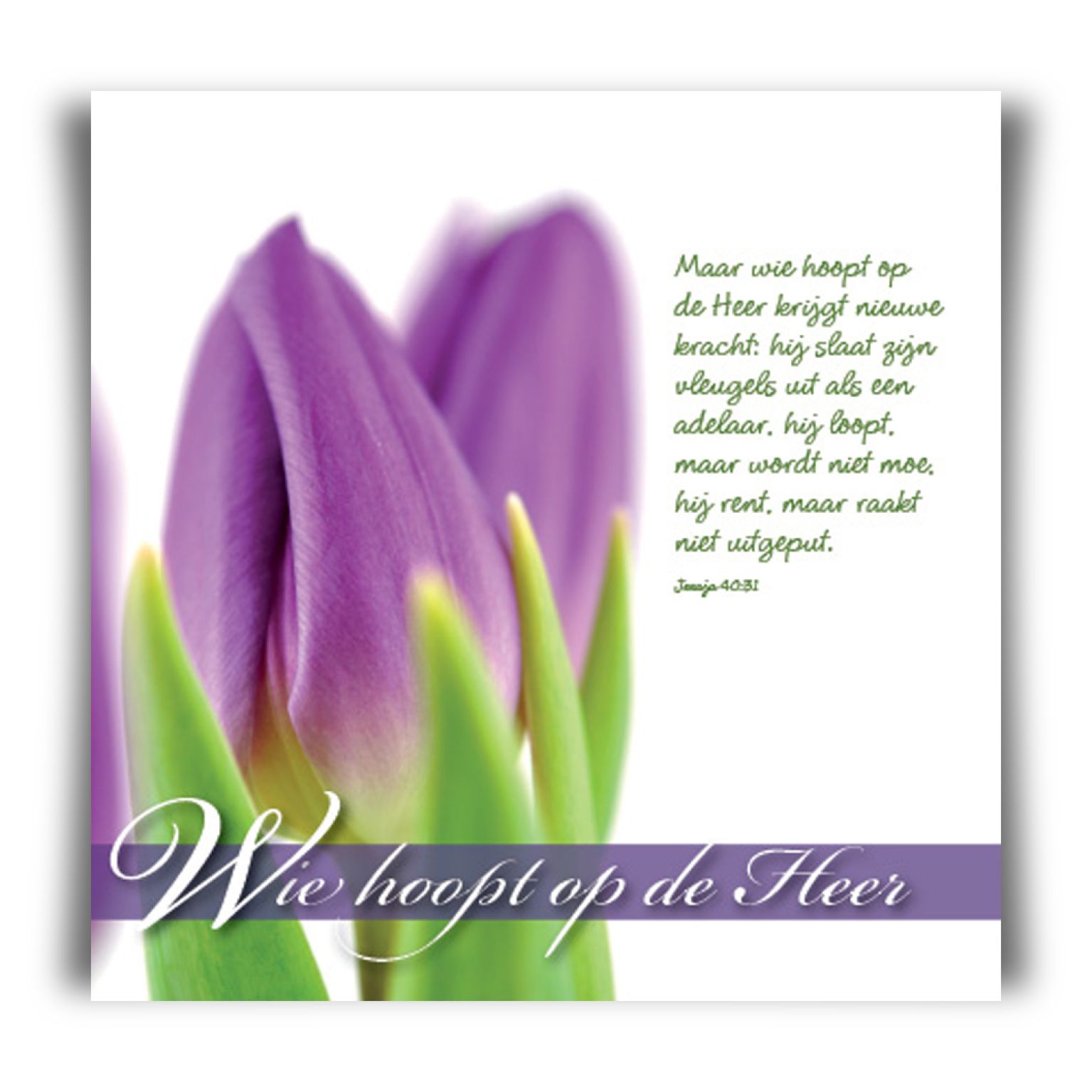 Prentbriefkaart 'Wie hoopt op de Heer'