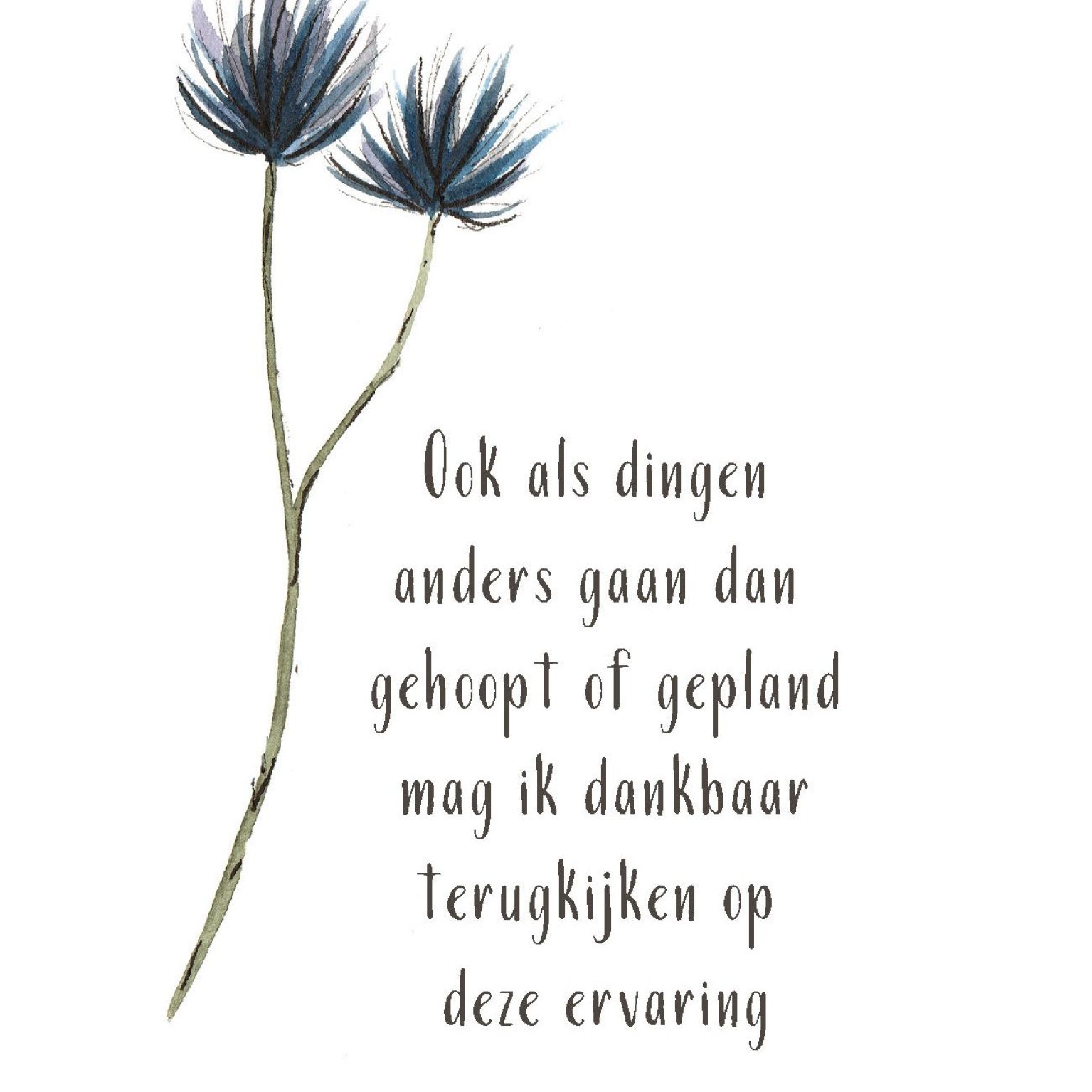 Blikje Mama kaarten - Zwanger - MA27501 -  Cadeau's bij MajesticAlly