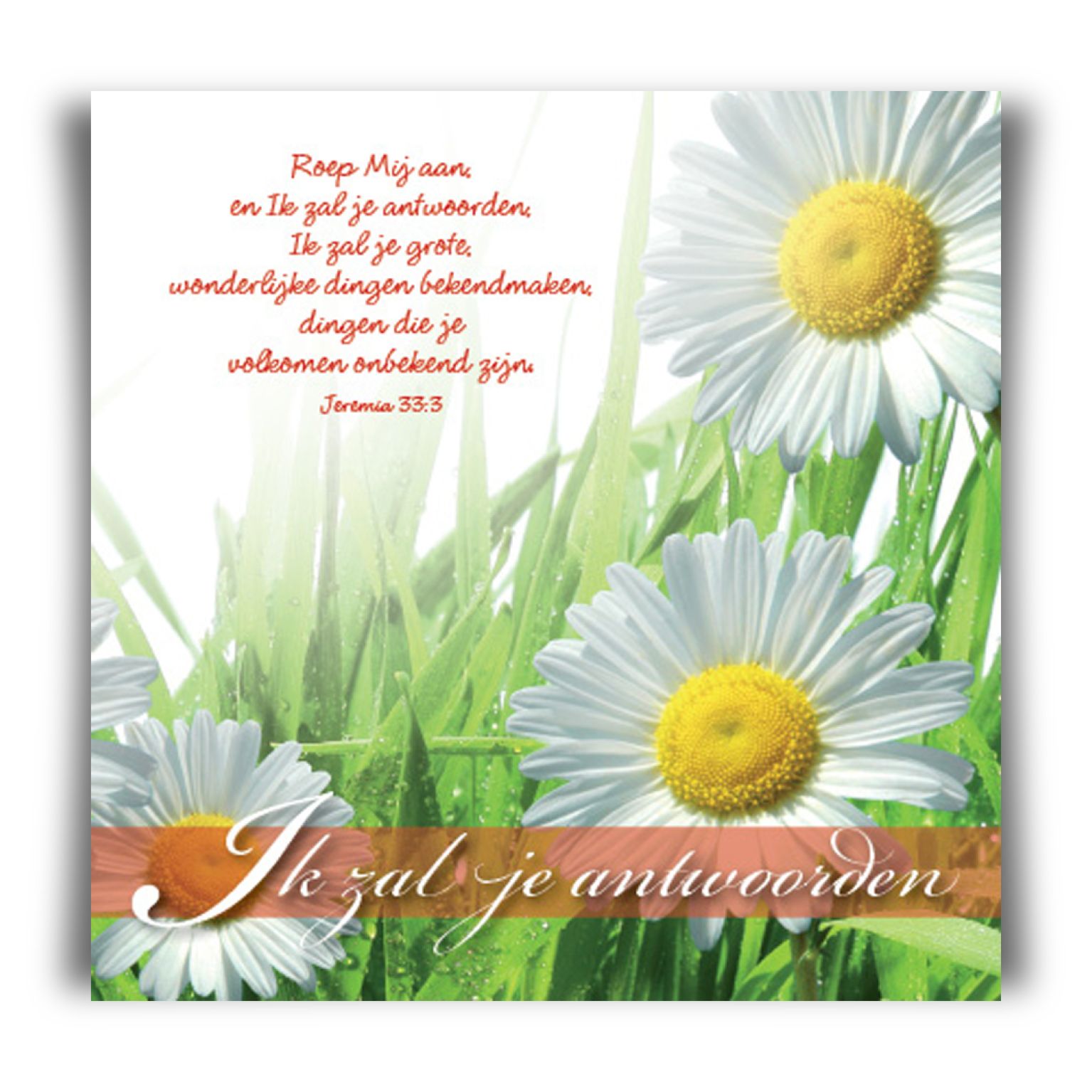 Prentbriefkaart 'Ik zal je antwoorden'