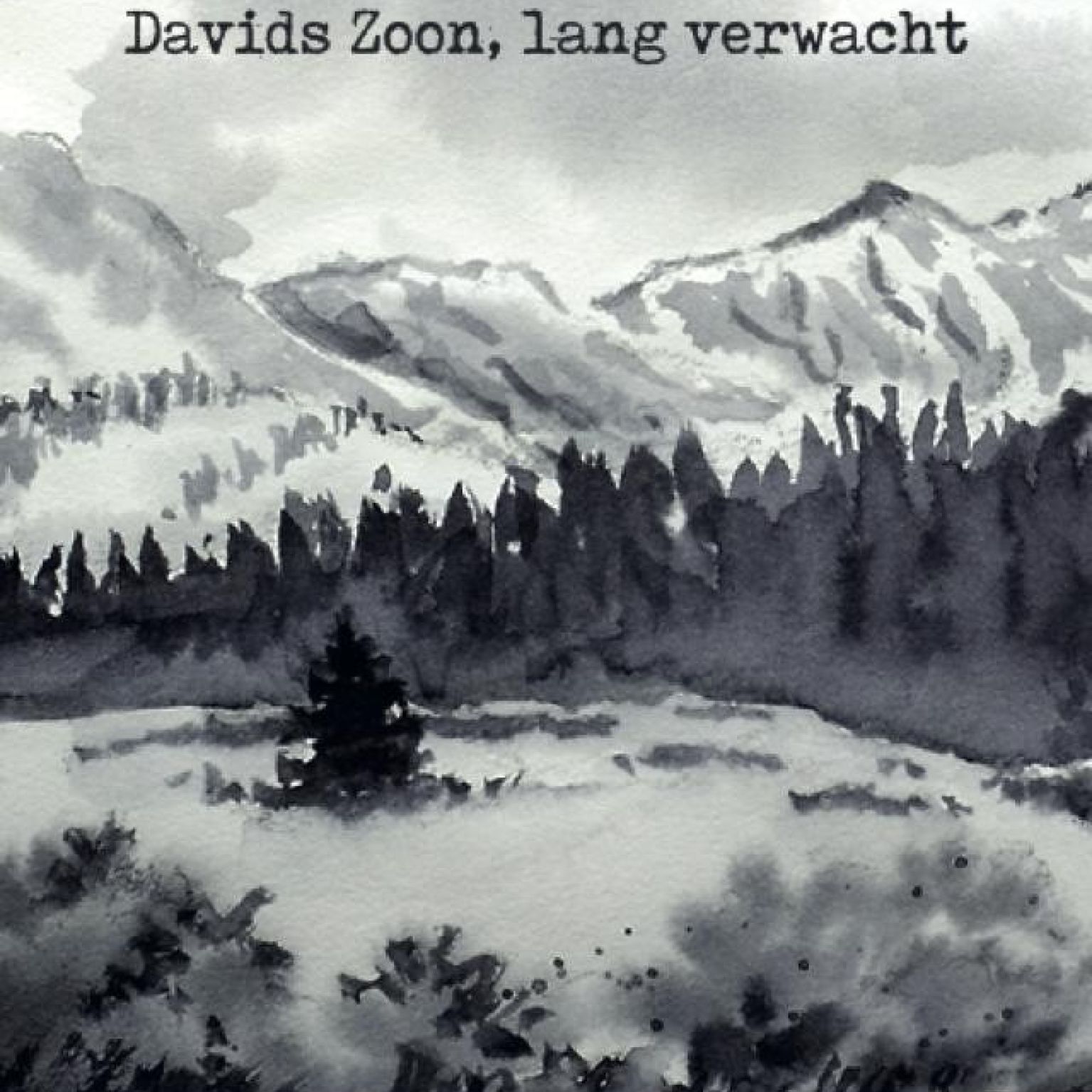 Kerstkaart 'Stille nacht - bergen' - MA26207 -  Christelijke kerstkaarten bij MajesticAlly