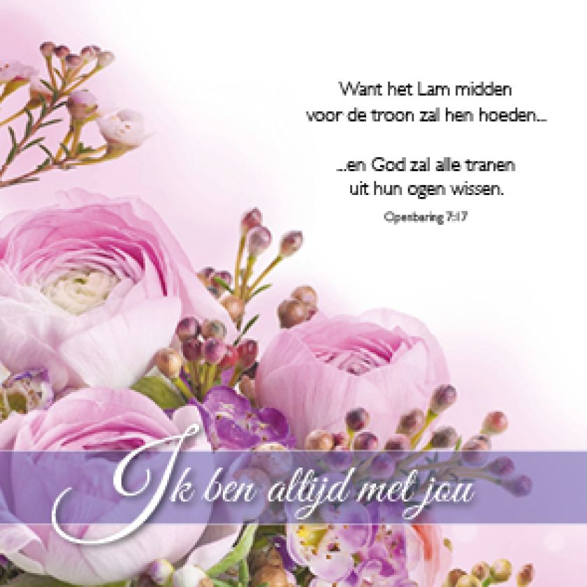 Kadokaartje x12 Ik ben altijd met jou - MA46202xx -  Minikaartjes bij MajesticAlly