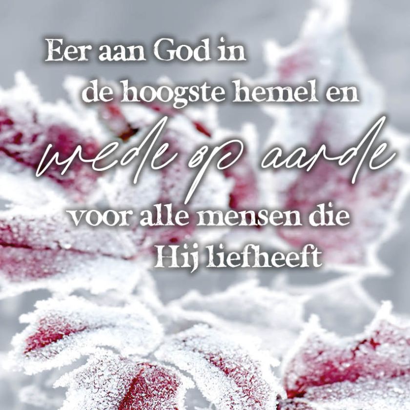 Eer aan God in de hoogste hemel en vrede op aarde voor alle mensen die Hij liefheeft