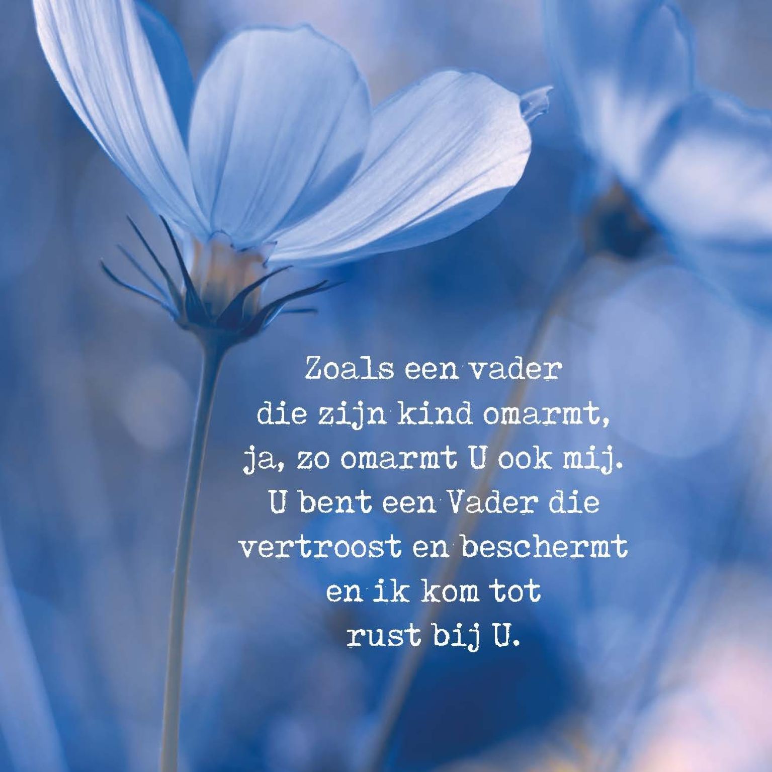 Opwekking 462 - 552671 -  Opwekking bij MajesticAlly