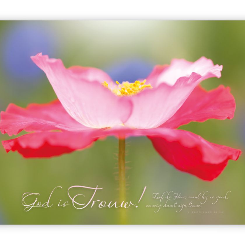 Poster A3 'God is trouw' - MA11368 -  Posters A3 bij MajesticAlly