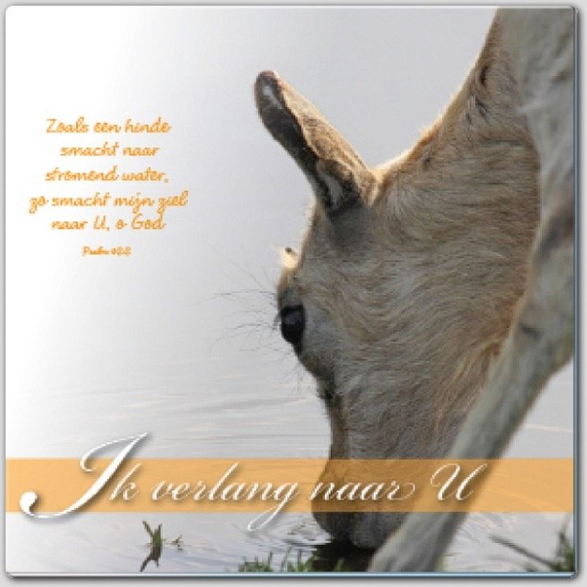 Wenskaart 'Ik verlang naar U' - 46155 -  Bemoediging bij MajesticAlly