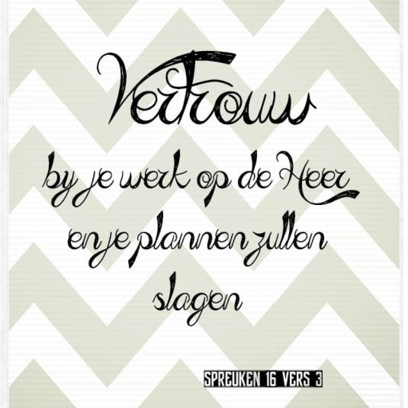 Sponsorpakket 40 kaarten met envelop - MA17000S -  Leef!  bij MajesticAlly