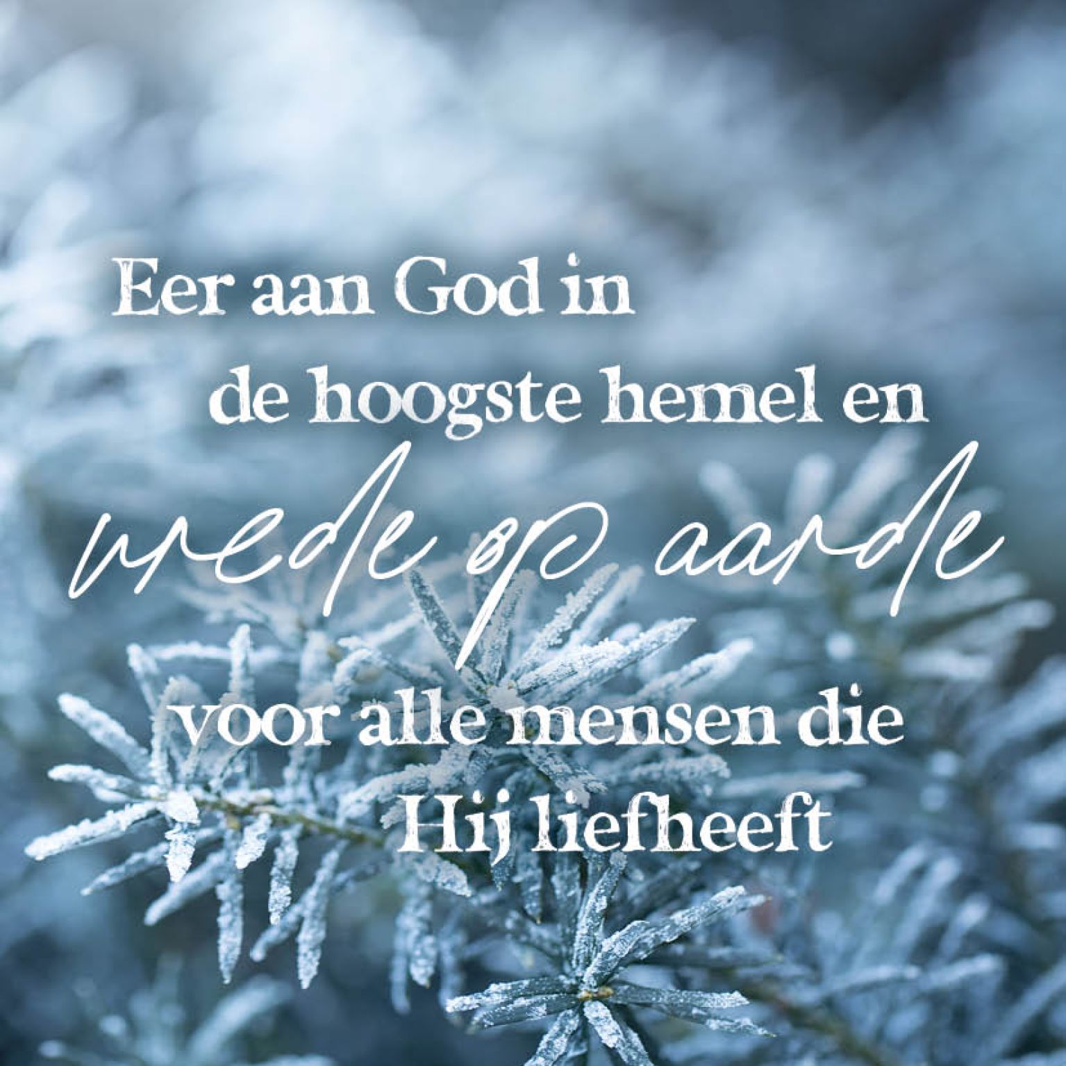 Eer aan God in de hoogste hemel en vrede op aarde voor alle mensen die Hij liefheeft