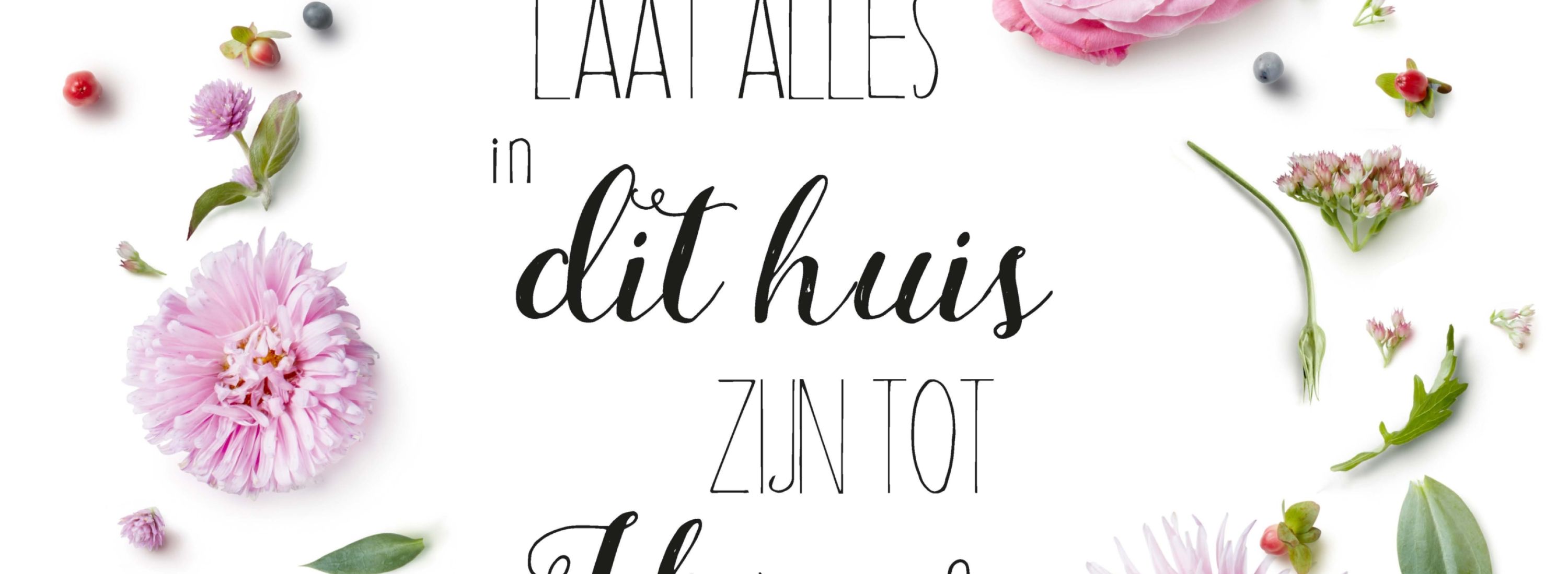 MA17628 scaled 33c7f21c