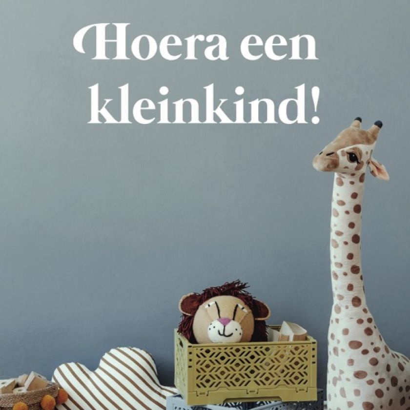 Wenskaart 'Hoera een kleinkind!'