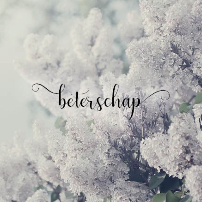 Kaart 'Beterschap - Seringen' - MA34001 -  Stille momenten bij MajesticAlly