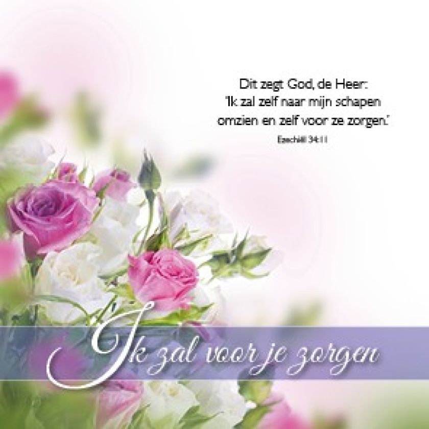 Voordeelpakket 24 kaarten Blessings - MA46250 -  Voordeelpakjes bij MajesticAlly